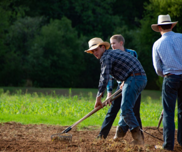 Seasonal Organic Gardening: A Year-Round Guide to Abundant Harvests