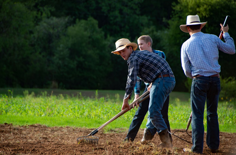 Seasonal Organic Gardening: A Year-Round Guide to Abundant Harvests